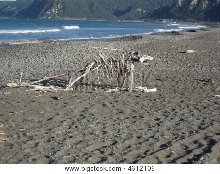Driftwood Beach scultura