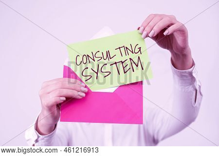Text Caption Presenting Consulting Systemhelping Firms Improve Process Adequacy And Functionality. B