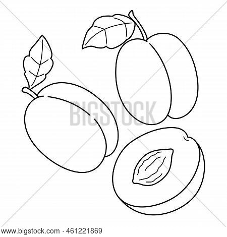 A Cute And Funny Coloring Page Of A Plum. Provides Hours Of Coloring Fun For Children. Color, This P