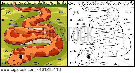 This Coloring Page Shows A Corn Snake Animal. One Side Of This Illustration Is Colored And Serves As