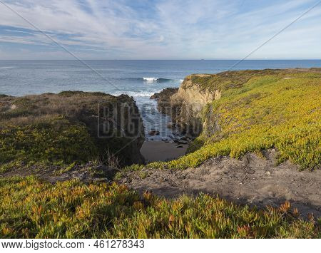 View Of The Cllifs, Rocky Sea Shore With The Red And Green Leaves Of Carpobrotus Edulis, Ground-cree
