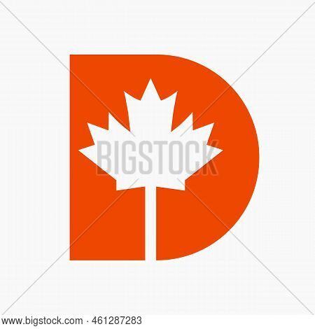 Canadian Red Maple Logo On Letter D Vector Symbol. Maple Leaf Concept For Canadian Company Identity