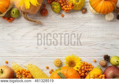 Thanksgiving Day Concept. Top View Photo Of Raw Vegetables Pumpkins Gourd Pattypans Apple Pears Maiz