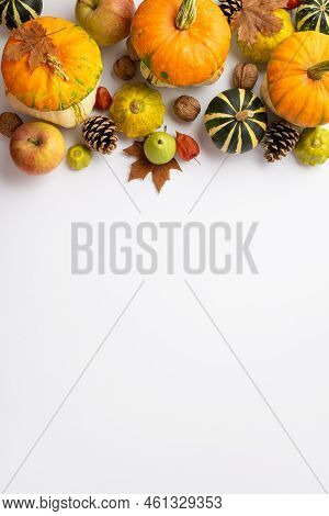 Thanksgiving Day Concept. Top View Vertical Photo Of Maple Leaves Raw Vegetables Pumpkins Pattypans 