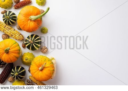 Autumn Harvest Concept. Top View Photo Of Raw Vegetables Pumpkins Corn Pattypans Walnuts Acorns And 