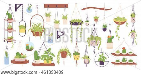 Houseplants In Hanging Pots. Flower Plant Macrame Pot For Decor Interior Wall Garden Indoor Office H