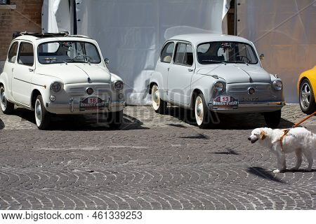 Rally Of Classic Cars Fiat 600 In Pesaro