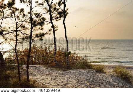 Beautiful View Of The Baltic Sea Shore Line Near Klaipeda City, Lithuania. Scenic Sea Coast On Chill