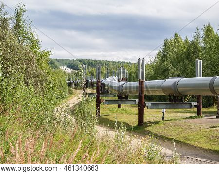 Gas Or Oil Pipeline Winding Through Landscape Overland In Alaska.