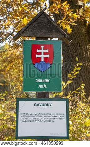 Gavurky, Dobra Niva, Slovakia - October, 24, 2021 : Gavurky Pannonian Grove. An Old Oak Grove. The S