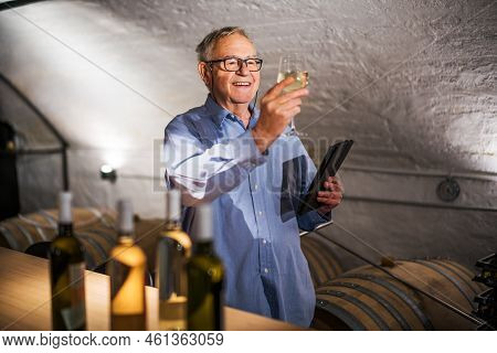 Portrait Of Senior Man Who Owns Winery. He Is Examining Quality In His Wine Cellar. Industry Wine Ma