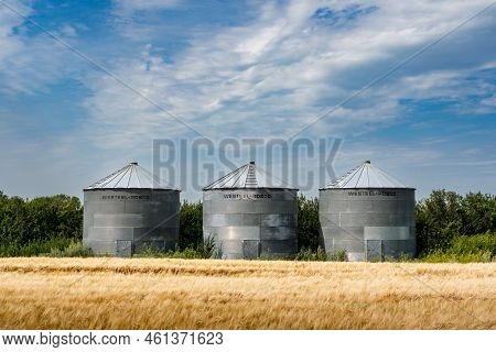 Kneehill County Alberta Canada, August 30 2022: Grain Bins Standing On A Barley Field During Summer 