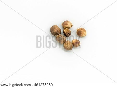 Close-up And Top View Image Of Dried Cardamon On White Background, A Small Group Of Dried Cardamon.