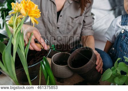 Mom And Little Son Oma Are Transplanting Houseplants Together