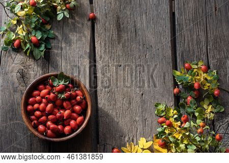 Rosehip Berries On Wooden Rustic Background. Rosehip Branches. Banner