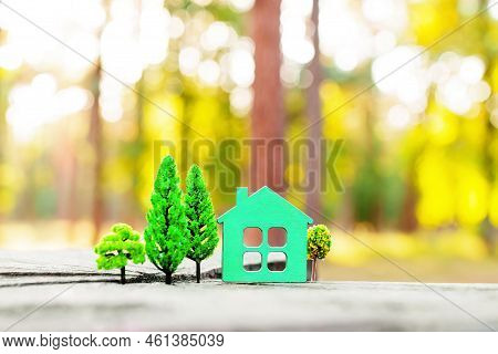 Flat House Shape And Fake Toy Trees Placed On A Tree Stump In The Woods. Sustainable Green Home Conc