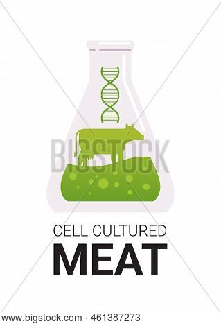 Cultured Meat In Test Tube Made From Beef Animal Cells Artificial Lab Grown Meat Production Concept