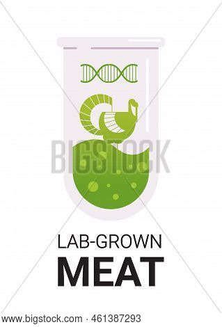Cultured Meat In Test Tube Made From Turkey Animal Cells Artificial Lab Grown Meat Production Concep