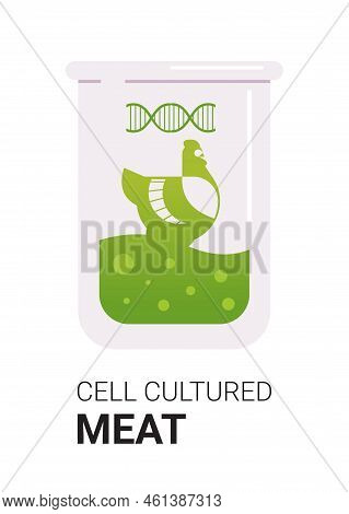 Cultured Meat In Test Tube Made From Chicken Animal Cells Artificial Lab Grown Meat Production Conce