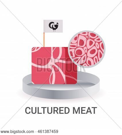 Cultured Raw Red Meat With Label Made From Chicken Animal Cells Artificial Lab Grown Meat Production