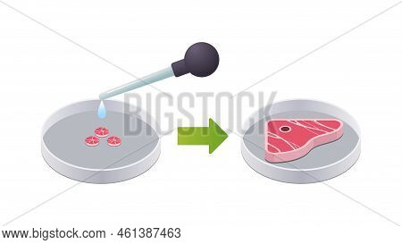Petri Dish With Beef Steak Cultured Raw Red Meat Made From Animal Cells Artificial Lab Grown Meat Pr