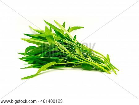 Bunch Of Fresh Cut Water Spinach Or Kangkung Plant With Tender Shoots Isolated On White Background