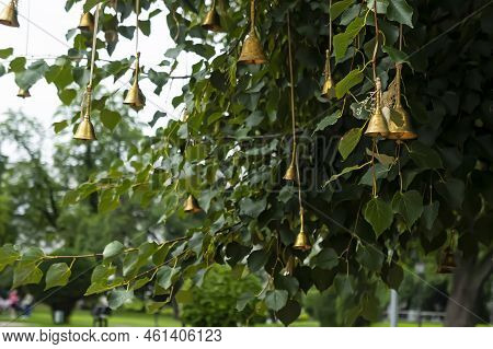A Cute Little Windbell Hanging From A Branch. The Bells On The Branches Of The Tree In The Courtyard
