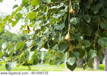 A Cute Little Windbell Hanging From A Branch. The Bells On The Branches Of The Tree In The Courtyard