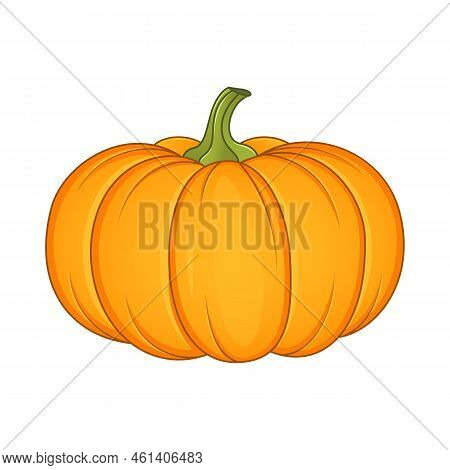 Pumpkin Vector Illustration Isolated On White Background