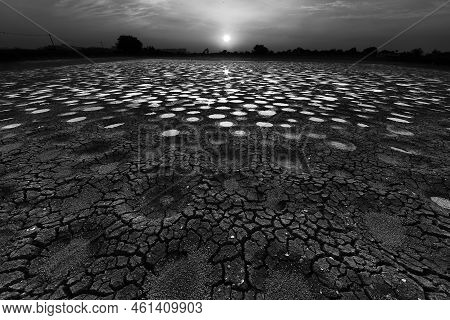 Dried Fish Pond In Hong Kong In Monochrome