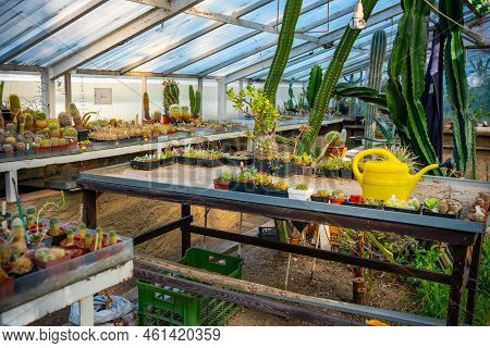 Naturalist Station With Farm Animals, Bird, Child Playground And Vegetable Garden In Smichov Area In