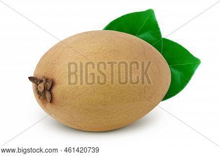 Sapodilla Isolated On White Background With Full Depth Of Field