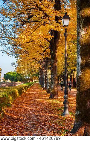 Autumn And Foliage In Lucca. Anciet City Walls Park With Autumnal Leaves