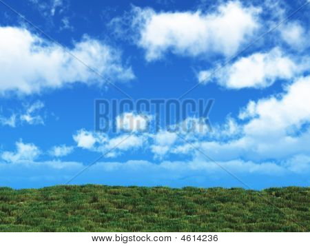 Blue Sky And Grass