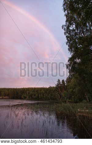 Rainbow Reflected In The Lake When It Rains. In The Background Forest, On The Lake Reeds And Water L
