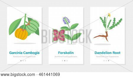 Vector Design Of Onboarding Screens With Nutrition Food Supplements. Modern And Simplified Templates