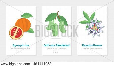Isolated Vector Onboarding Templates With Herbs And Fruits. Vertical Banners With Nutritional Food S
