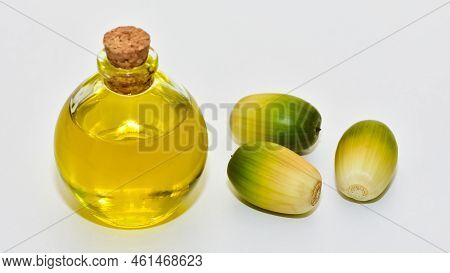 Photos Of Acorns And Acorn Oil On A White Background.