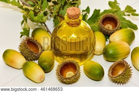 Photos Of Acorns And Acorn Oil On A White Background.