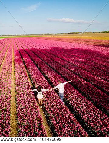 Men And Women In Flower Field Seen From Above With Drone In The Netherlands, Tulip Fields
