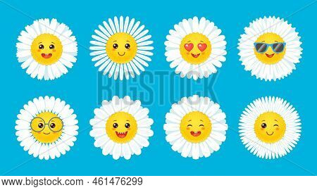 Camomile Smile, Daisy Flowers With Cartoon Face, Vector Happy Cute Chamomiles. Camomile And Daisy Fl