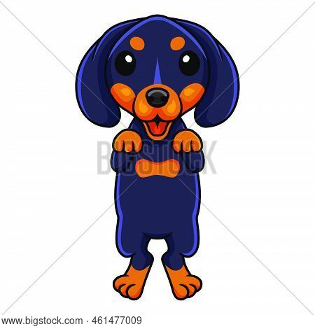 Vector Illustration Of Cute Dashund Dog Cartoon Posing
