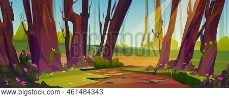 Footpath In Sunlit Forest Cartoon Illustration. Beautiful Old Wood With Ancient Tall Trees, Green Gr