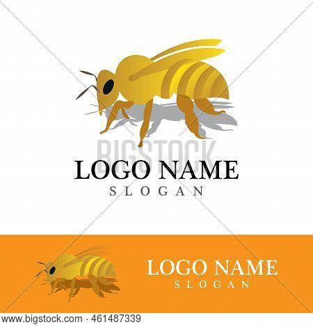 Bee Logo Vector Icon Illustration