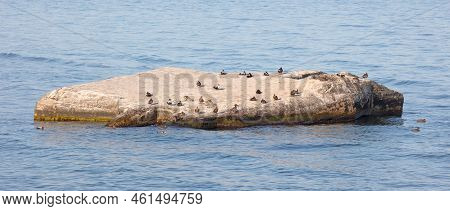 World War Two Bunker In The Water At Grenen In Skagen, Denmark