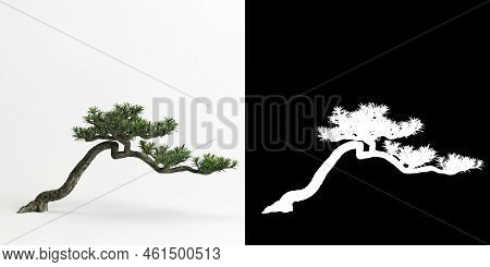 3d Illustration Of Podocarpus Macrophyllus Bonsai Isolated On White And Its Mask