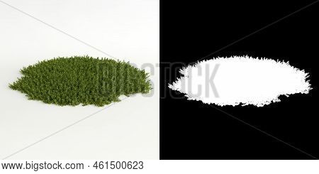 3d Illustration Of Bryophyte Tree Isolated On White And Its Mask