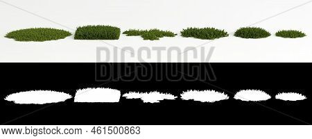 3d Illustration Of Set Bryophyte Tree Isolated On White And Its Mask