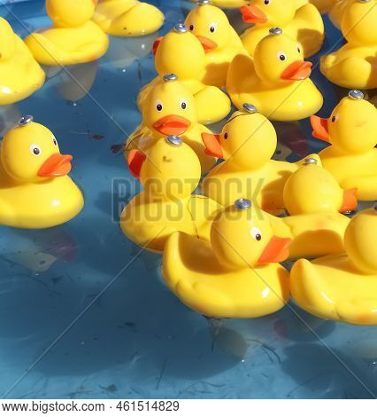 Selective Focus. Many Yellow Rubber Ducks Swimming In Circles In A Pool.