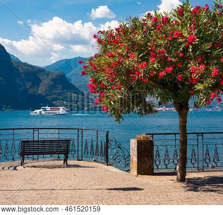 Beautiful Coast Of Lake Como In Summer With Flowers, Famous Tourism Destination